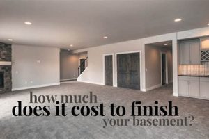 Basements: True Cost to Finish Your Basement in 2024 Safem Fabrication - Precision Engineering & Custom Manufacturing Solutions Basements: True Cost to Finish Your Basement in 2024 | Safem Fabrication - Precision Engineering & Custom Manufacturing Solutions
