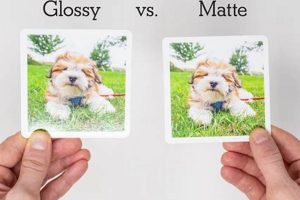 Why Matte Finish Photos Shine + Print Guide Safem Fabrication - Precision Engineering & Custom Manufacturing Solutions Why Matte Finish Photos Shine + Print Guide | Safem Fabrication - Precision Engineering & Custom Manufacturing Solutions