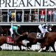 Preakness Finishing: Secrets to the Wire & Beyond | Best Final Touch: Elevate Your Projects with Professional Finishing