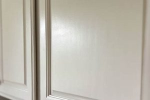 Top Paint: Best Paint Finish for Cabinets Guide & Tips Safem Fabrication - Precision Engineering & Custom Manufacturing Solutions Top Paint: Best Paint Finish for Cabinets Guide & Tips | Safem Fabrication - Precision Engineering & Custom Manufacturing Solutions