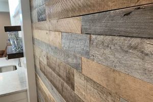 Top Basement Wall Finishing Ideas: Designs & Tips Safem Fabrication - Precision Engineering & Custom Manufacturing Solutions Top Basement Wall Finishing Ideas: Designs & Tips | Safem Fabrication - Precision Engineering & Custom Manufacturing Solutions