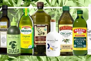 Top-Rated Best Finishing Olive Oil: Elevate Your Dishes! Safem Fabrication - Precision Engineering & Custom Manufacturing Solutions Top-Rated Best Finishing Olive Oil: Elevate Your Dishes! | Safem Fabrication - Precision Engineering & Custom Manufacturing Solutions