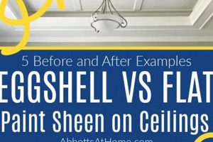 Best Paint: What Paint Finish for Ceiling? A Guide! Safem Fabrication - Precision Engineering & Custom Manufacturing Solutions Best Paint: What Paint Finish for Ceiling? A Guide! | Safem Fabrication - Precision Engineering & Custom Manufacturing Solutions