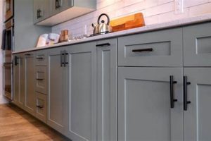 Finding the Best Finish for Cabinet Paint: Guide & Tips Safem Fabrication - Precision Engineering & Custom Manufacturing Solutions Finding the Best Finish for Cabinet Paint: Guide & Tips | Safem Fabrication - Precision Engineering & Custom Manufacturing Solutions