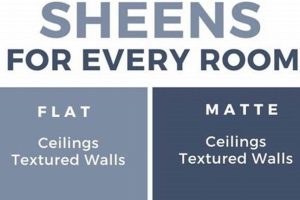 Top Paints: Best Paint Finish for Bathroom Walls That Lasts Safem Fabrication - Precision Engineering & Custom Manufacturing Solutions Top Paints: Best Paint Finish for Bathroom Walls That Lasts | Safem Fabrication - Precision Engineering & Custom Manufacturing Solutions