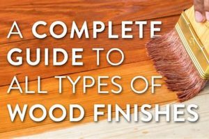 Wood Types & Finish: Expert Guide to Wood Finishes Safem Fabrication - Precision Engineering & Custom Manufacturing Solutions Wood Types & Finish: Expert Guide to Wood Finishes | Safem Fabrication - Precision Engineering & Custom Manufacturing Solutions