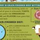 Best Grass Fed Grain Finished Beef: Taste & Nutrition! | Best Final Touch: Elevate Your Projects with Professional Finishing