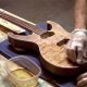 Oil's Shine: Guitar Tung Oil Finish Secrets & Tips | Best Final Touch: Elevate Your Projects with Professional Finishing
