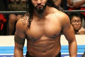 Unleash the Tama Tonga Finisher: A Guide to Ending Matches Safem Fabrication - Precision Engineering & Custom Manufacturing Solutions Unleash the Tama Tonga Finisher: A Guide to Ending Matches | Safem Fabrication - Precision Engineering & Custom Manufacturing Solutions