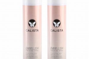 Best Calista Embellish Finishing Spray: Shine & Hold! Safem Fabrication - Precision Engineering & Custom Manufacturing Solutions Best Calista Embellish Finishing Spray: Shine & Hold! | Safem Fabrication - Precision Engineering & Custom Manufacturing Solutions