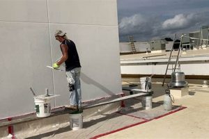 Top EIFS Finish Coat Choices: Pros & Cons Best Final Touch: Elevate Your Projects with Professional Finishing Top EIFS Finish Coat Choices: Pros & Cons | Best Final Touch: Elevate Your Projects with Professional Finishing