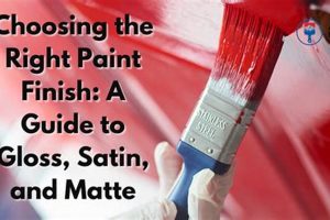 Paint Pro: How to Pick the Right Paint Finish (Tips & Tricks) Safem Fabrication - Precision Engineering & Custom Manufacturing Solutions Paint Pro: How to Pick the Right Paint Finish (Tips & Tricks) | Safem Fabrication - Precision Engineering & Custom Manufacturing Solutions