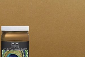 Top Finish Masters Paint: Pro Coating Secrets Best Final Touch: Elevate Your Projects with Professional Finishing Top Finish Masters Paint: Pro Coating Secrets | Best Final Touch: Elevate Your Projects with Professional Finishing