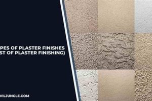 Best Plaster Finish Ideas: Walls & Textures Best Final Touch: Elevate Your Projects with Professional Finishing Best Plaster Finish Ideas: Walls & Textures | Best Final Touch: Elevate Your Projects with Professional Finishing