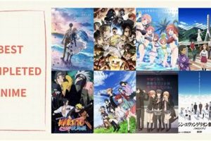 Top-Tier Best Finished Anime: Satisfying Endings To Watch Best Final Touch: Elevate Your Projects with Professional Finishing Top-Tier Best Finished Anime: Satisfying Endings To Watch | Best Final Touch: Elevate Your Projects with Professional Finishing