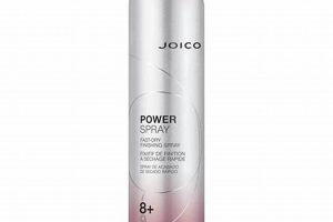 Joico Spray: Fast Dry Finishing for Lasting Hold! Best Final Touch: Elevate Your Projects with Professional Finishing Joico Spray: Fast Dry Finishing for Lasting Hold! | Best Final Touch: Elevate Your Projects with Professional Finishing