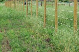 Essential Finish Line Fencing: Safety & Crowd Control Best Final Touch: Elevate Your Projects with Professional Finishing Essential Finish Line Fencing: Safety & Crowd Control | Best Final Touch: Elevate Your Projects with Professional Finishing