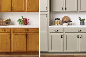 Pro Guide to Finishing Cabinets Like a Pro: Tips & Tricks Best Final Touch: Elevate Your Projects with Professional Finishing Pro Guide to Finishing Cabinets Like a Pro: Tips & Tricks | Best Final Touch: Elevate Your Projects with Professional Finishing