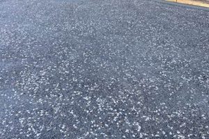 Coastal Charm: Tabby Finish Concrete Textures & Designs Best Final Touch: Elevate Your Projects with Professional Finishing Coastal Charm: Tabby Finish Concrete Textures & Designs | Best Final Touch: Elevate Your Projects with Professional Finishing