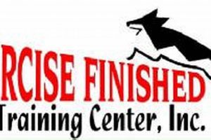 Finish Strong: Exercise Finished Dog Training Tips! Best Final Touch: Elevate Your Projects with Professional Finishing Finish Strong: Exercise Finished Dog Training Tips! | Best Final Touch: Elevate Your Projects with Professional Finishing