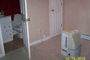 Best Dehumidifier in Finished Basement: Tips & Guide Best Final Touch: Elevate Your Projects with Professional Finishing Best Dehumidifier in Finished Basement: Tips & Guide | Best Final Touch: Elevate Your Projects with Professional Finishing