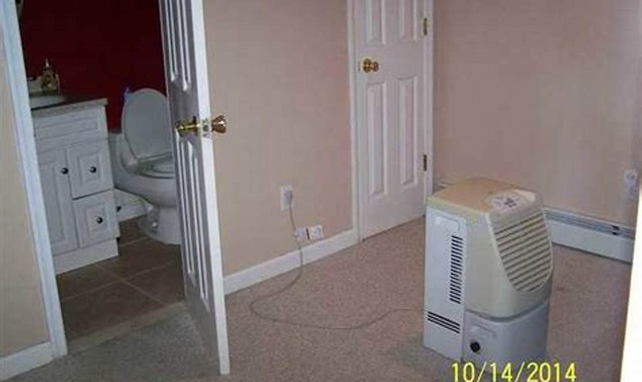Best Dehumidifier in Finished Basement: Tips & Guide Best Final Touch: Elevate Your Projects with Professional Finishing Best Dehumidifier in Finished Basement: Tips & Guide | Best Final Touch: Elevate Your Projects with Professional Finishing