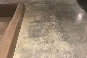 Achieve Durable Beauty: Burnished Concrete Finish Floors Guide Best Final Touch: Elevate Your Projects with Professional Finishing Achieve Durable Beauty: Burnished Concrete Finish Floors Guide | Best Final Touch: Elevate Your Projects with Professional Finishing
