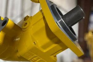 Premier Carolina Finishing Services: Quality Guaranteed Best Final Touch: Elevate Your Projects with Professional Finishing Premier Carolina Finishing Services: Quality Guaranteed | Best Final Touch: Elevate Your Projects with Professional Finishing