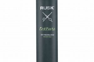 Rusk Texture Finishing Spray: Get Touchable Texture Now! Best Final Touch: Elevate Your Projects with Professional Finishing Rusk Texture Finishing Spray: Get Touchable Texture Now! | Best Final Touch: Elevate Your Projects with Professional Finishing