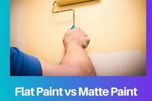 Flat vs Matte Finish: Choosing The Perfect Look Best Final Touch: Elevate Your Projects with Professional Finishing Flat vs Matte Finish: Choosing The Perfect Look | Best Final Touch: Elevate Your Projects with Professional Finishing