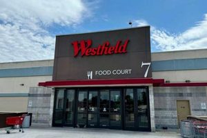 Shop Athletic Gear: Wheaton Mall Finish Line Store Near You Best Final Touch: Elevate Your Projects with Professional Finishing Shop Athletic Gear: Wheaton Mall Finish Line Store Near You | Best Final Touch: Elevate Your Projects with Professional Finishing