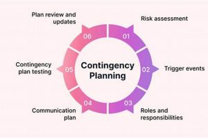 Actionable Steps to Finish Implementing Your Contingency Plan Fast! Best Final Touch: Elevate Your Projects with Professional Finishing Actionable Steps to Finish Implementing Your Contingency Plan Fast! | Best Final Touch: Elevate Your Projects with Professional Finishing