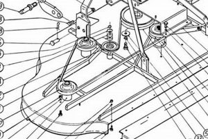 Shop Caroni Finish Mower Parts Online - Best Deals! Best Final Touch: Elevate Your Projects with Professional Finishing Shop Caroni Finish Mower Parts Online - Best Deals! | Best Final Touch: Elevate Your Projects with Professional Finishing