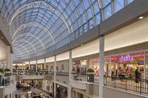 Your Finish Line Carolina Place Mall Guide: Hours & Deals! Best Final Touch: Elevate Your Projects with Professional Finishing Your Finish Line Carolina Place Mall Guide: Hours & Deals! | Best Final Touch: Elevate Your Projects with Professional Finishing