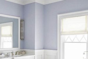 Best Paint: What Type of Paint Finish for Bathroom Walls? Best Final Touch: Elevate Your Projects with Professional Finishing Best Paint: What Type of Paint Finish for Bathroom Walls? | Best Final Touch: Elevate Your Projects with Professional Finishing