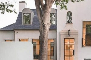 Modern Exterior Stucco Finishes: Styles & Design Ideas Best Final Touch: Elevate Your Projects with Professional Finishing Modern Exterior Stucco Finishes: Styles & Design Ideas | Best Final Touch: Elevate Your Projects with Professional Finishing