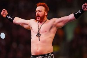 Decoding Sheamus Finisher: Power, Impact & Victory Best Final Touch: Elevate Your Projects with Professional Finishing Decoding Sheamus Finisher: Power, Impact & Victory | Best Final Touch: Elevate Your Projects with Professional Finishing