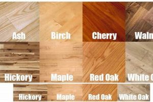 Best Wood Flooring Finishes Types Guide For Your Floor! Best Final Touch: Elevate Your Projects with Professional Finishing Best Wood Flooring Finishes Types Guide For Your Floor! | Best Final Touch: Elevate Your Projects with Professional Finishing