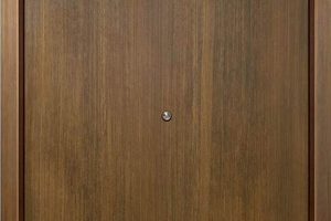 Steel Door Wood Finish: Beauty & Security Enhanced Best Final Touch: Elevate Your Projects with Professional Finishing Steel Door Wood Finish: Beauty & Security Enhanced | Best Final Touch: Elevate Your Projects with Professional Finishing
