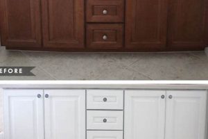Paint-Safe: Clean Kitchen Cabinets Without Damaging Finish Best Final Touch: Elevate Your Projects with Professional Finishing Paint-Safe: Clean Kitchen Cabinets Without Damaging Finish | Best Final Touch: Elevate Your Projects with Professional Finishing