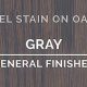 Best General Finishes Gray Gel Stain for Wood: Reviews & Tips | Best Final Touch: Elevate Your Projects with Professional Finishing