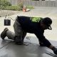 Durable Hard Trowel Finish Concrete: Guide & Benefits | Best Final Touch: Elevate Your Projects with Professional Finishing