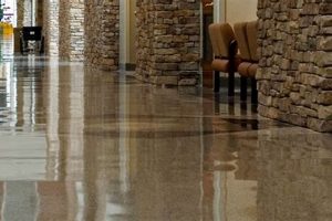 Best Buckeye Floor Finish: Protect & Shine! Best Final Touch: Elevate Your Projects with Professional Finishing Best Buckeye Floor Finish: Protect & Shine! | Best Final Touch: Elevate Your Projects with Professional Finishing