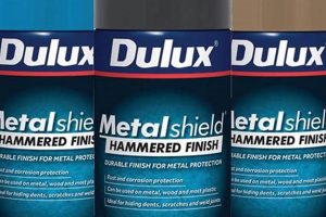 Best Metal Spray Paint Finishes: Pros & Cons Best Final Touch: Elevate Your Projects with Professional Finishing Best Metal Spray Paint Finishes: Pros & Cons | Best Final Touch: Elevate Your Projects with Professional Finishing
