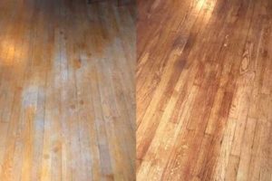 Easy Restor a Finish on Floors: Pro Guide + Tips! Best Final Touch: Elevate Your Projects with Professional Finishing Easy Restor a Finish on Floors: Pro Guide + Tips! | Best Final Touch: Elevate Your Projects with Professional Finishing