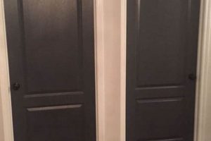 Best Interior Door Paint Finish Ideas: Pro Tips & More Best Final Touch: Elevate Your Projects with Professional Finishing Best Interior Door Paint Finish Ideas: Pro Tips & More | Best Final Touch: Elevate Your Projects with Professional Finishing