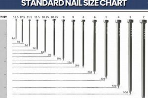 Nail Guide: Finish Nail Sizes Chart + Uses Best Final Touch: Elevate Your Projects with Professional Finishing Nail Guide: Finish Nail Sizes Chart + Uses | Best Final Touch: Elevate Your Projects with Professional Finishing