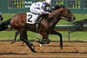 Master the Horse Race Finish Line: Tips & Tech Best Final Touch: Elevate Your Projects with Professional Finishing Master the Horse Race Finish Line: Tips & Tech | Best Final Touch: Elevate Your Projects with Professional Finishing
