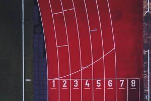 Easy Finish Line Track My Order: Delivery Updates & More Best Final Touch: Elevate Your Projects with Professional Finishing Easy Finish Line Track My Order: Delivery Updates & More | Best Final Touch: Elevate Your Projects with Professional Finishing