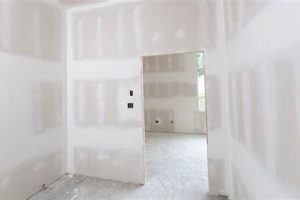 Basic Level 1 Drywall Finish: Cost & Applications Best Final Touch: Elevate Your Projects with Professional Finishing Basic Level 1 Drywall Finish: Cost & Applications | Best Final Touch: Elevate Your Projects with Professional Finishing